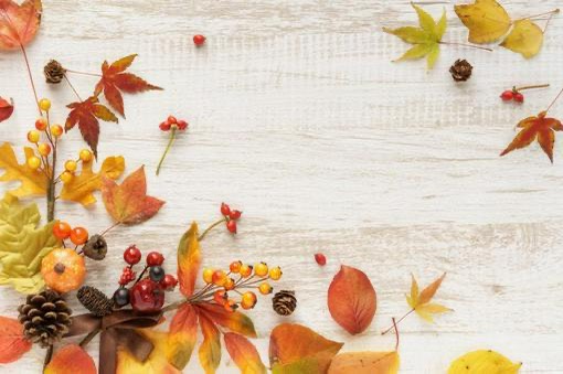 秋こそチャンス!風俗業界で安定して稼ぐ秘訣とは?